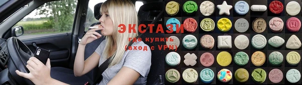 дмт Краснослободск