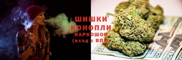 дмт Краснослободск