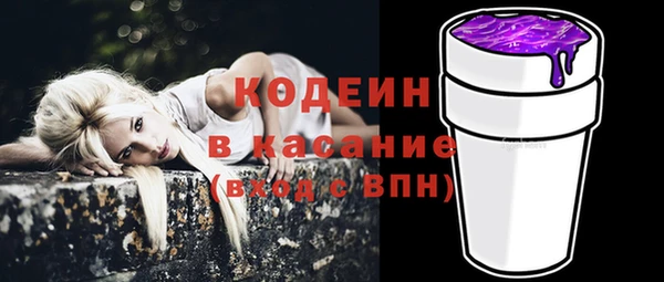 дмт Краснослободск