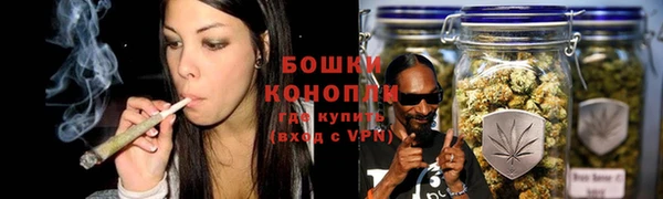 дмт Краснослободск