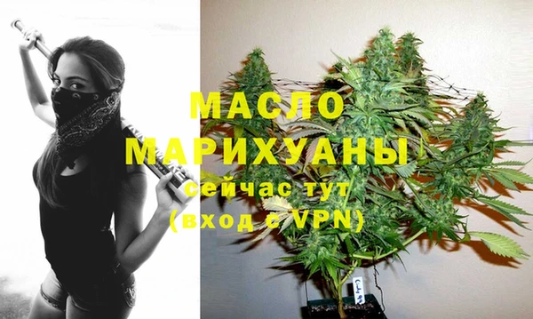 дмт Краснослободск