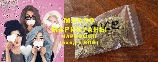 дмт Краснослободск
