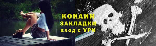 дмт Краснослободск